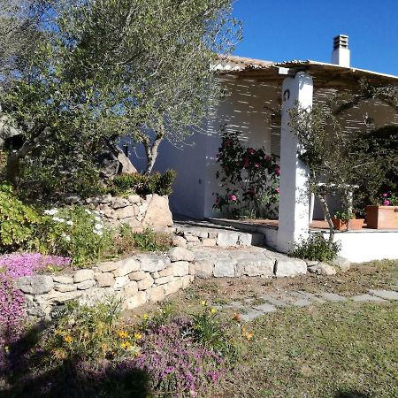 Agriturismo La Valletta Hotel ซานตา เตเรซา กัลลูรา ภายนอก รูปภาพ