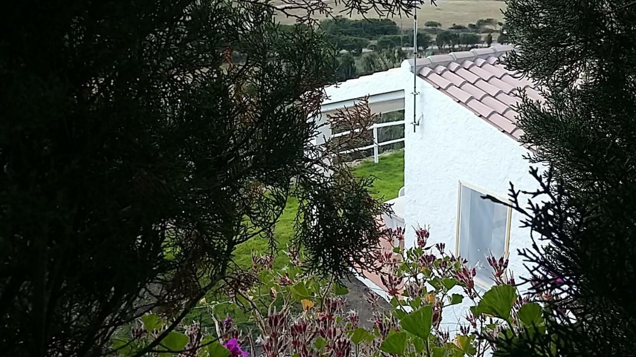 Agriturismo La Valletta Hotel ซานตา เตเรซา กัลลูรา ภายนอก รูปภาพ