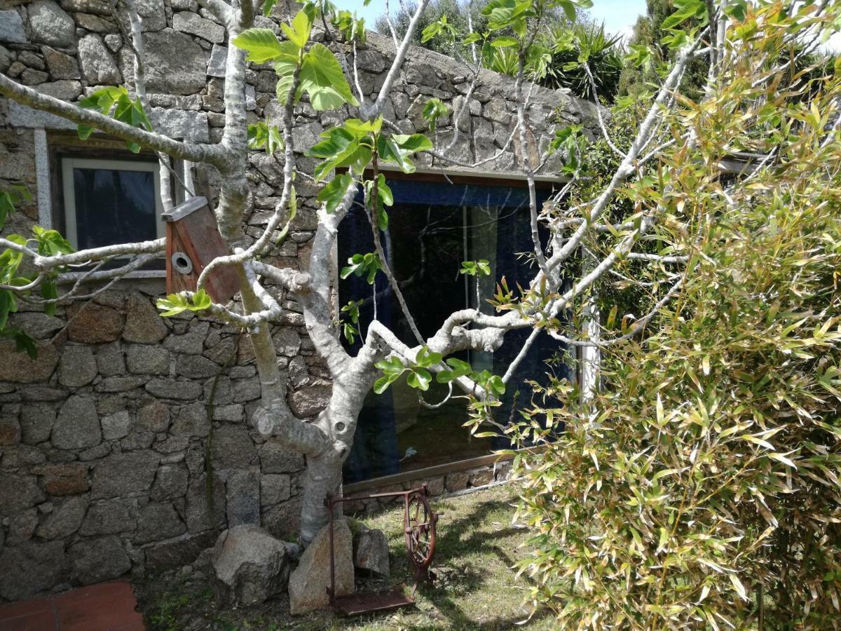 Agriturismo La Valletta Hotel ซานตา เตเรซา กัลลูรา ภายนอก รูปภาพ